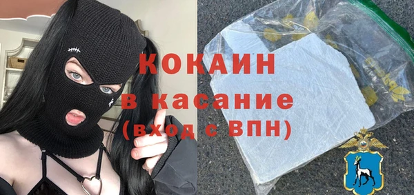 прущие грибы Михайлов