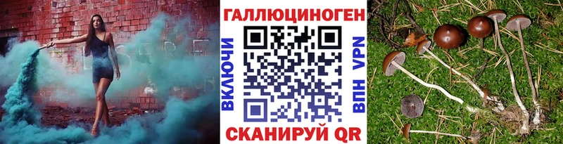 Псилоцибиновые грибы Psilocybe  Севастополь 